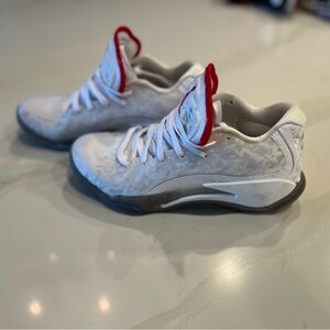 Nike Zion Jordans (boys size 7)